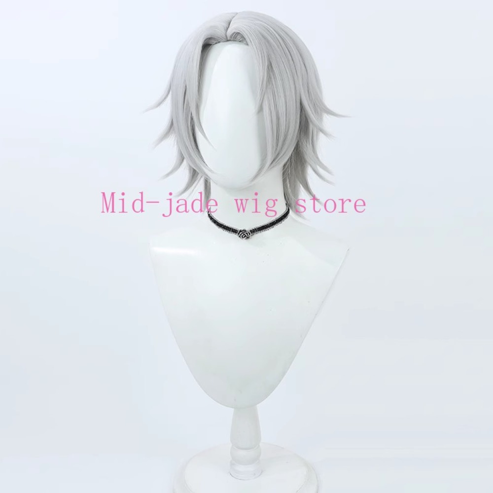 Hayato Gokudera Cosplay Peruğu - Photography Japanese incelemesi ve fiyatı