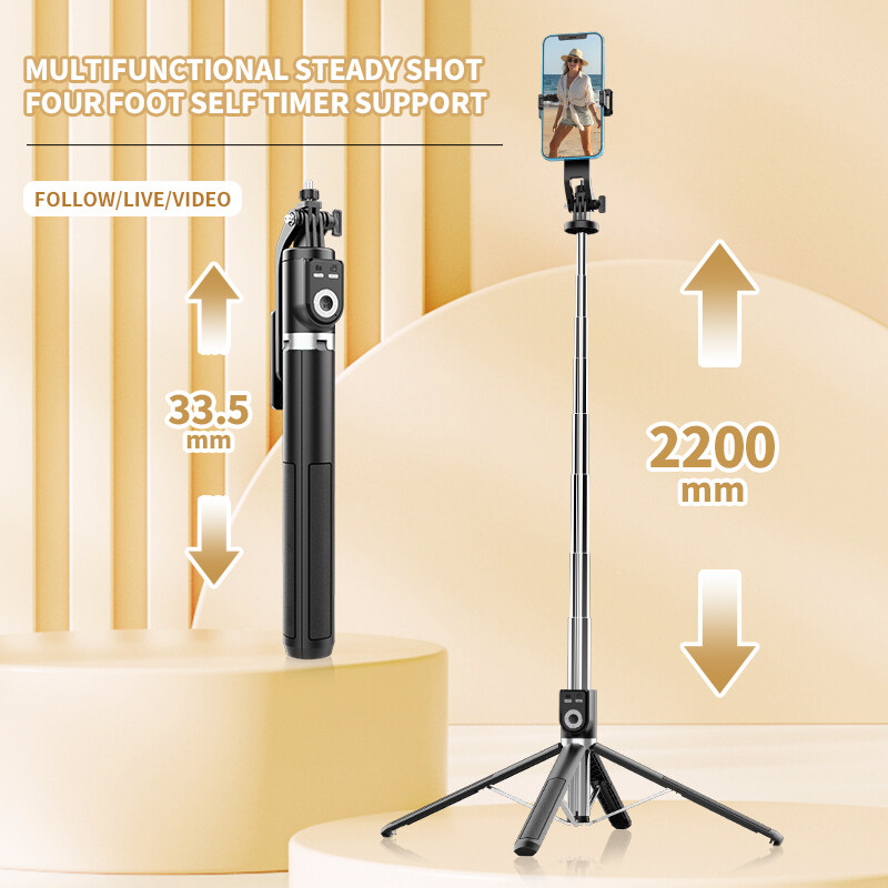 Selfie sopa P220 kablosuz Self - Photography Basics incelemesi ve fiyatı